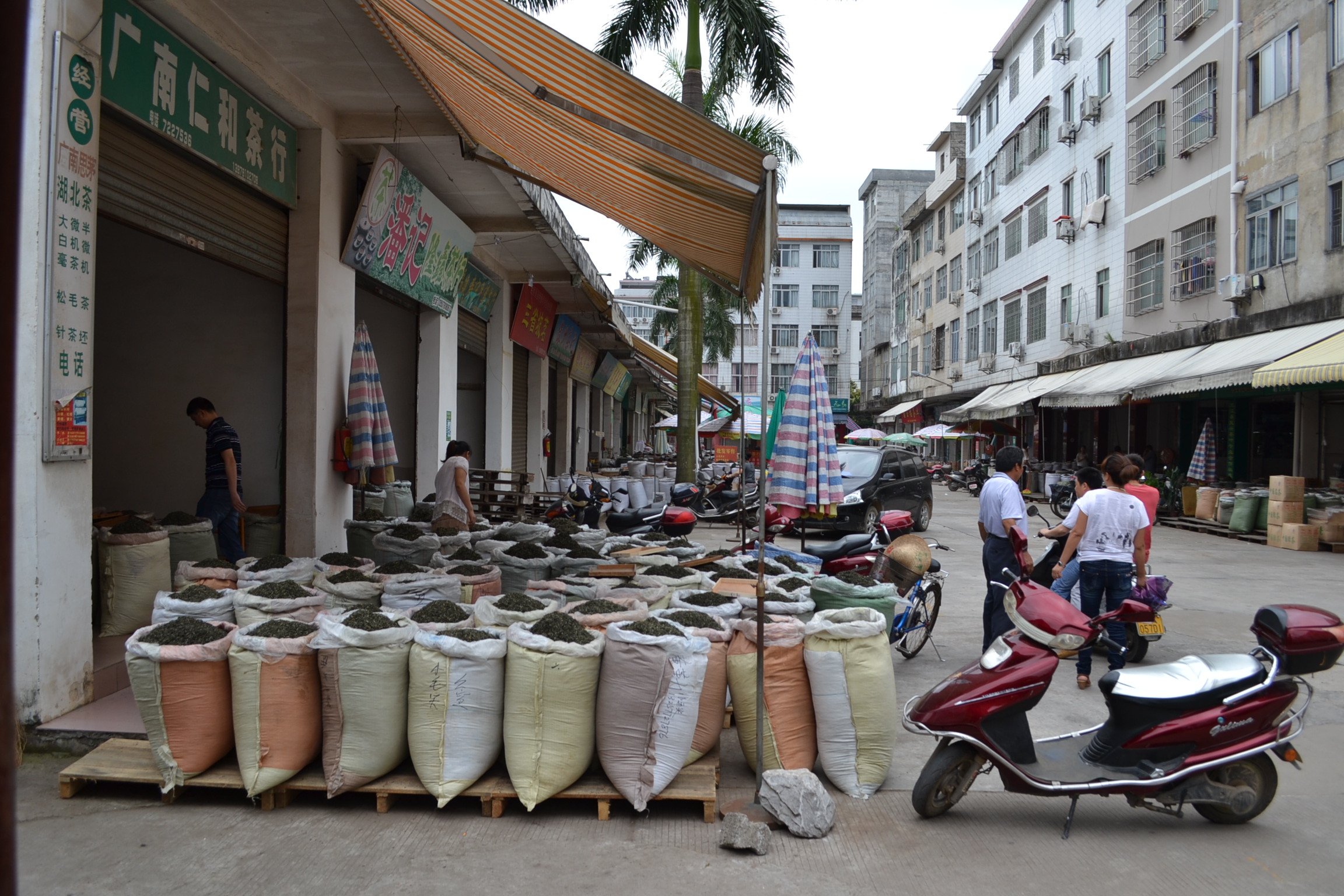 Дегустация чая в Китае во время чайных закупок