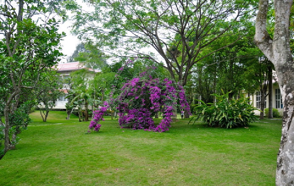 Сад в городском округе Цзинхун