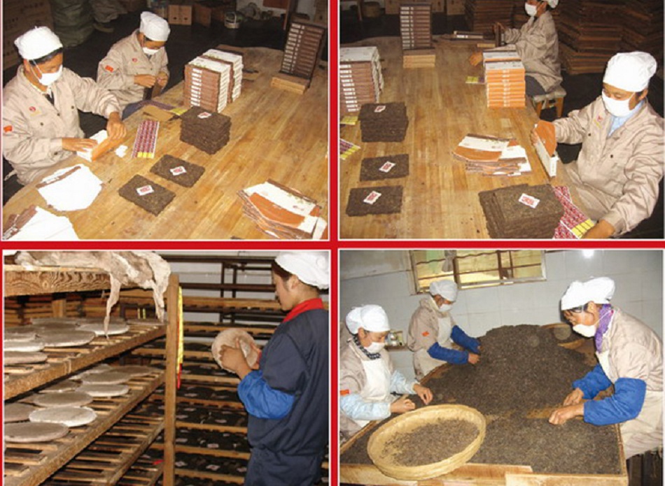 Рабочий процесс на чайной фабрике Хайвань