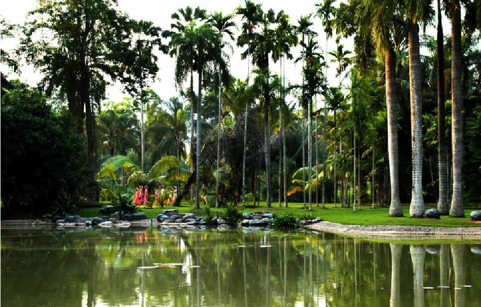 Ботанический сад уезда Менла