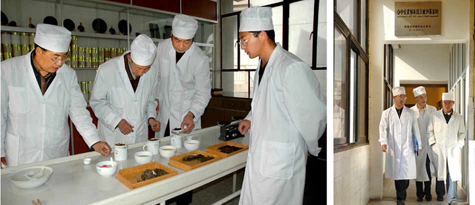 Экспертная группа чайной компании Ся Гуань