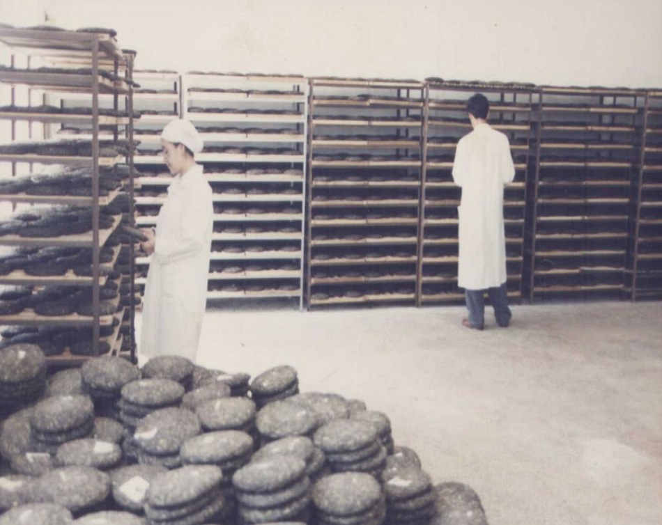Производство пуэра на чайной фабрике «Юньнань Дианхонг групп»