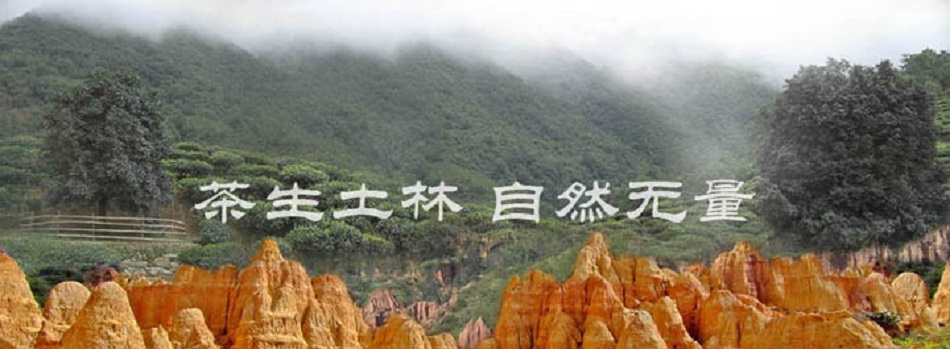 Логотип чайной фабрики "Ту Линь"