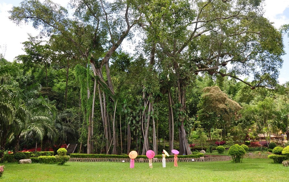 Тропический сад в уезде Мэнхай